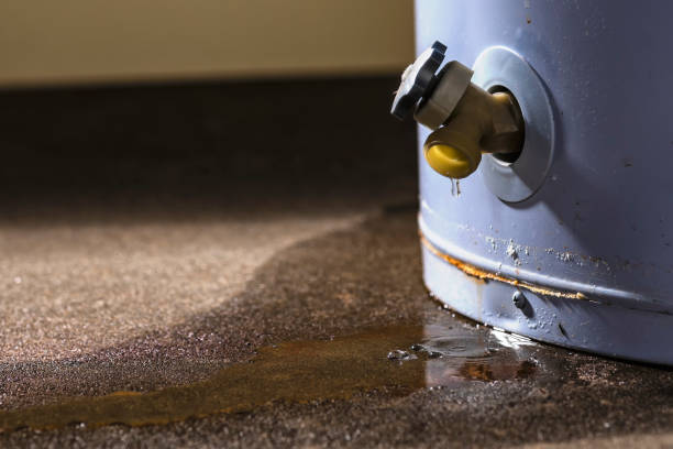 Best Flooded house restoration  in Chester Center, CT