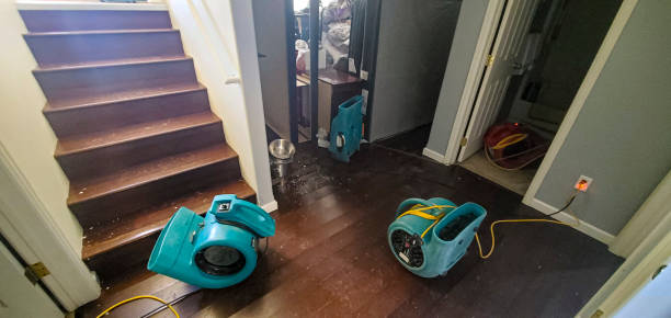 Best Basement water damage restoration  in Chester Center, CT