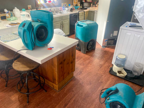Water damage restoration mold remediation in Chester Center, CT