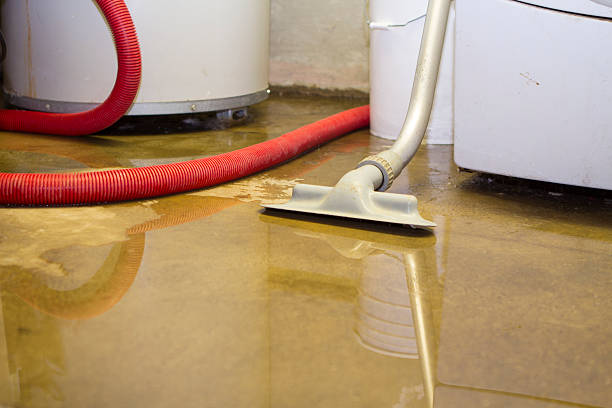 Best Mold removal after water damage  in Chester Center, CT